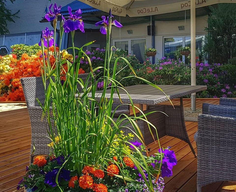 Toila SPA Hotell restoran Mio Mare grillpaviljon