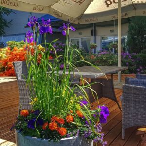 Toila SPA Hotell restoran Mio Mare grillpaviljon
